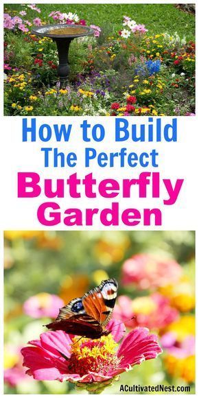 How to Build a Butterfly Garden- A Cultivated Nest - How to Build a Butterfly Garden- A Cultivated Nest -   18 diy Garden flowers ideas