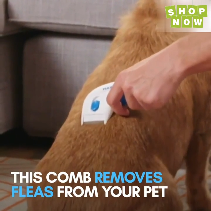 Electric Flea Cleaner Comb - Electric Flea Cleaner Comb -   21 diy Dog videos ideas