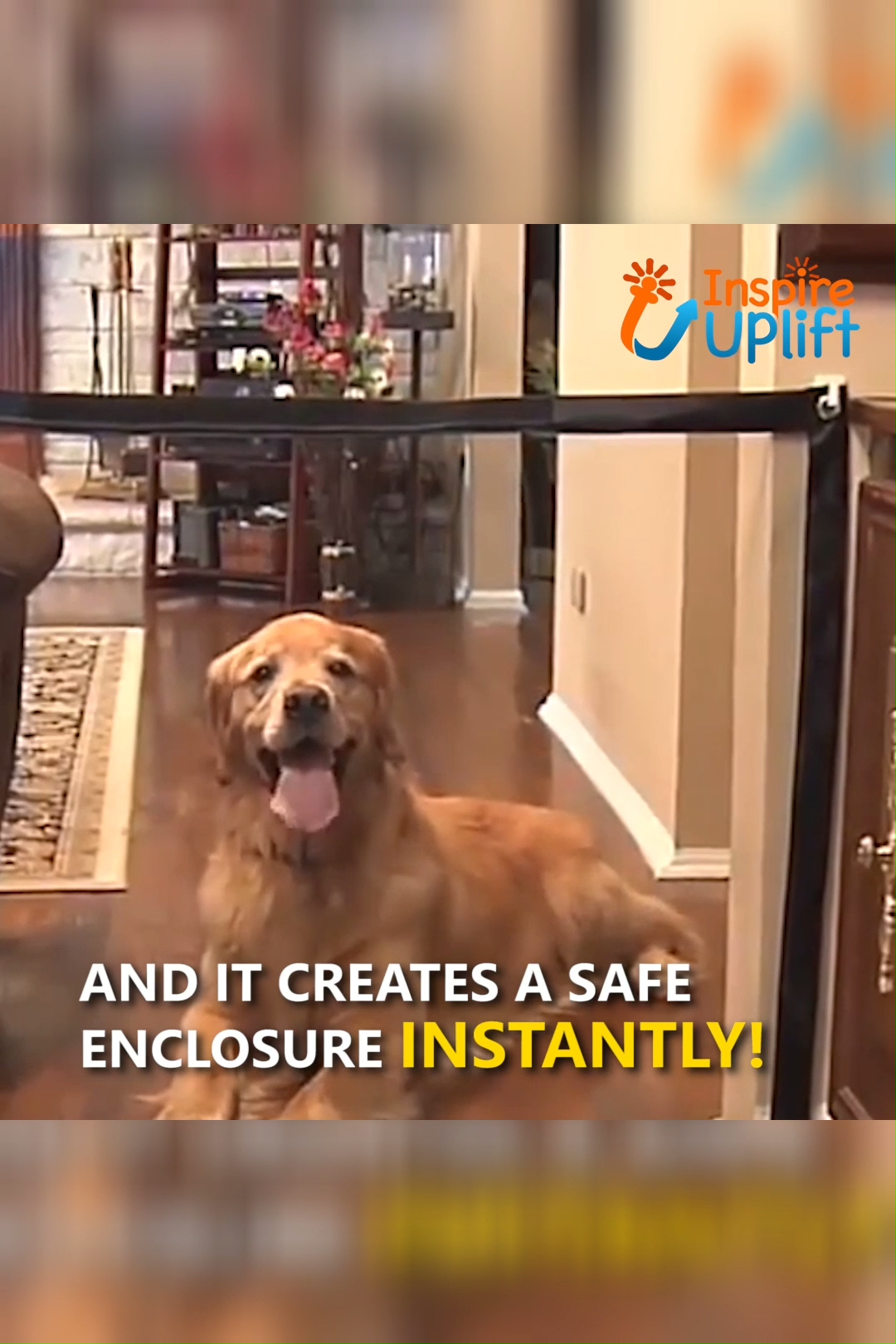 BriteDoggie Dog Safety Gate ? - BriteDoggie Dog Safety Gate ? -   21 diy Dog videos ideas