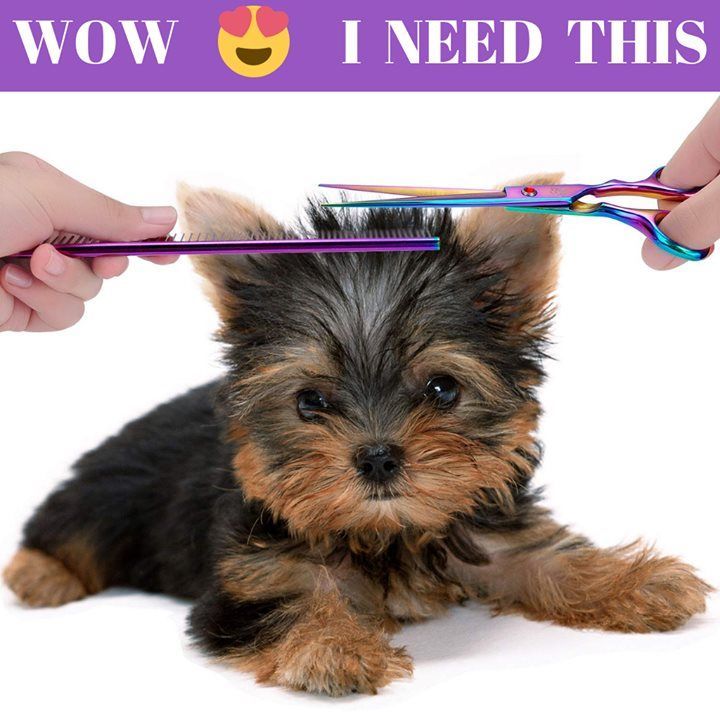 DIY Dog grooming accessories - DIY Dog grooming accessories -   21 diy Dog videos ideas