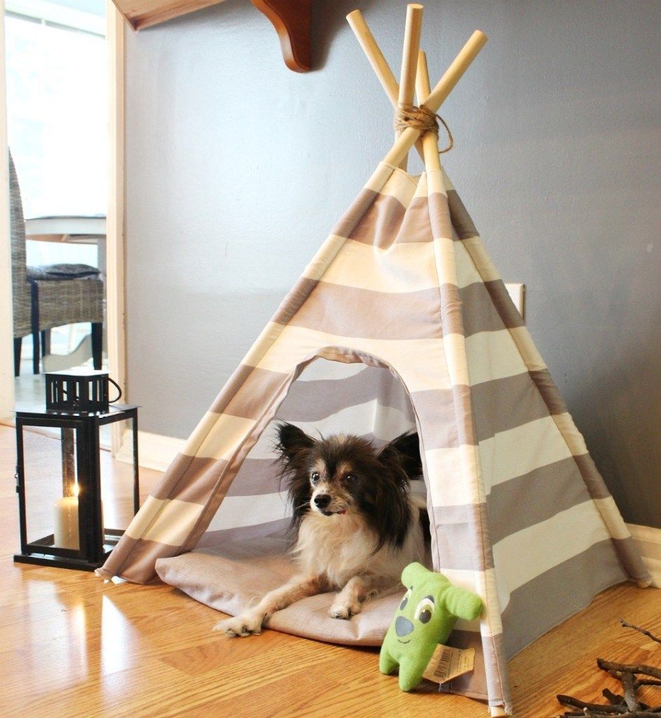 DIY Dog Tent - DIY Dog Tent -   diy Dog tent