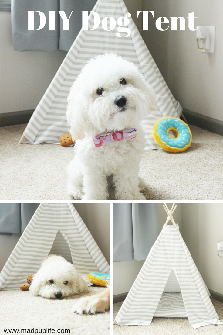 DIY No-Sew Doggie Tent - DIY No-Sew Doggie Tent -   22 diy Dog tent ideas