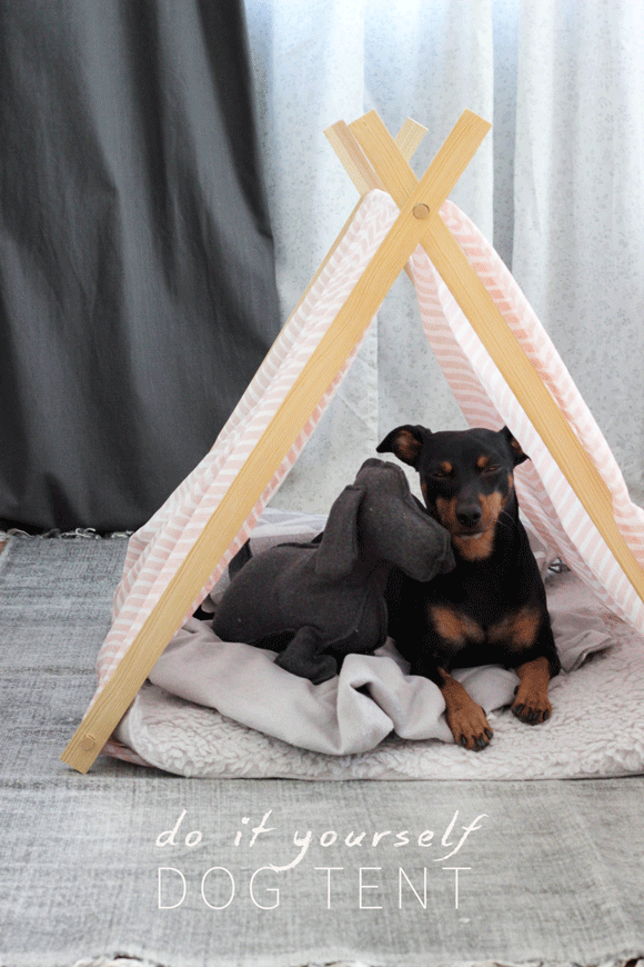 Do it yourself: Dog Tent - Do it yourself: Dog Tent -   22 diy Dog tent ideas