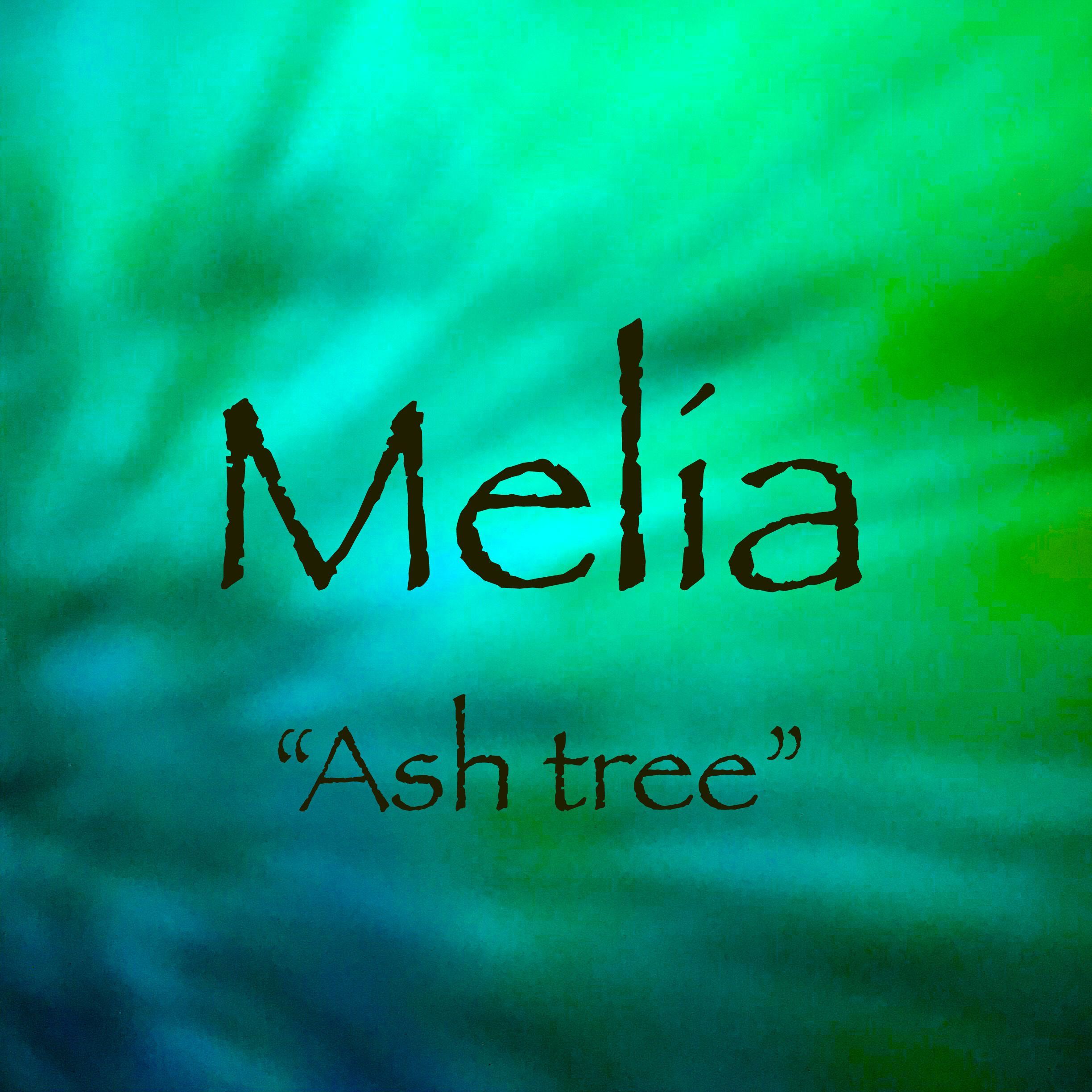 Forest character name collection - Melia - Forest character name collection - Melia -   10 beauty Words names ideas