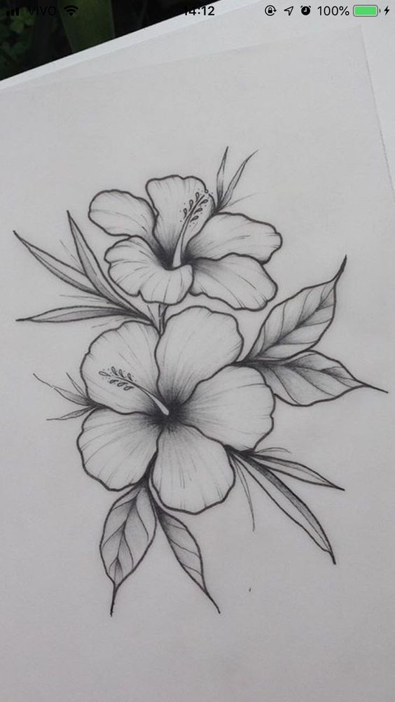 Hibiscus flower _ A3 / A4 / A5 _ illustration _ drawing _ floral print _ wall decoration …  #flowertattoos - flower tattoos - Hibiscus flower _ A3 / A4 / A5 _ illustration _ drawing _ floral print _ wall decoration …  #flowertattoos - flower tattoos -   11 beauty Design drawing ideas