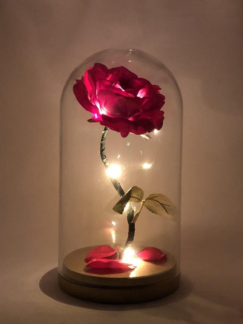Enchanted Rose | Beauty and the Beast Rose | Anniversary | Wedding | Birthday | Light Up Rose | LED Lights | Gold Base | 11