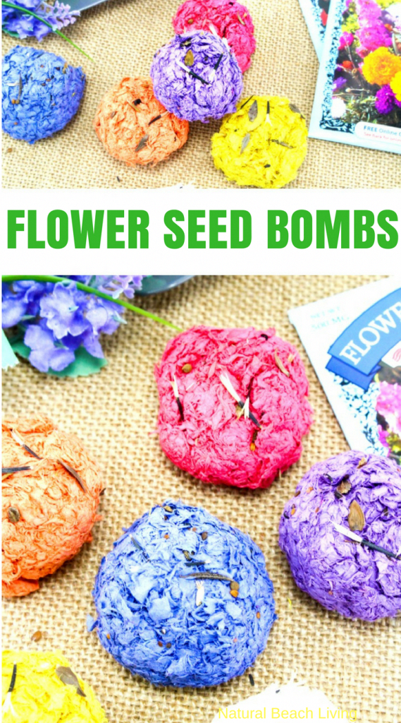 How to Make Seed Bombs for Kids - Easy DIY Seed Bombs Recipe - Natural Beach Living - How to Make Seed Bombs for Kids - Easy DIY Seed Bombs Recipe - Natural Beach Living -   15 diy Kids nature ideas