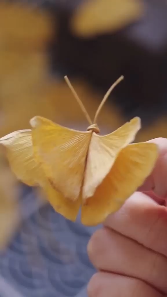 DIY Ginkgo Leaves Butterfly - DIY Ginkgo Leaves Butterfly -   15 diy Kids nature ideas
