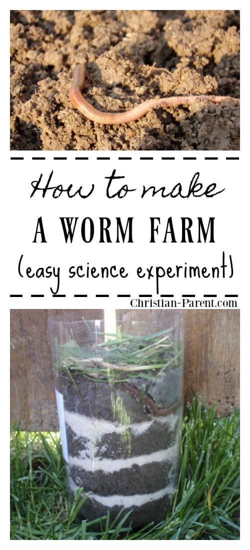 Worm Farm for Kids - Christian Parent - Worm Farm for Kids - Christian Parent -   15 diy Kids nature ideas