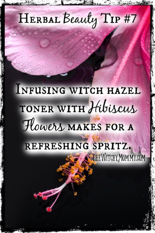 Hibiscus Flowers | Witches Herbal Apothecary - Hibiscus Flowers | Witches Herbal Apothecary -   16 beauty Flowers magic ideas