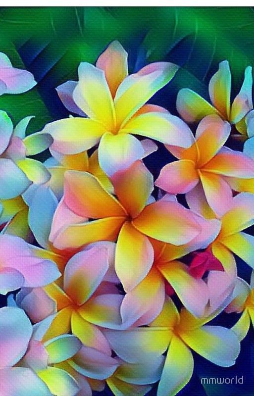 'Hawaiian Tropical Plumeria Frangipani ' iPhone Case by Samantha Smith - 'Hawaiian Tropical Plumeria Frangipani ' iPhone Case by Samantha Smith -   16 beauty Flowers magic ideas