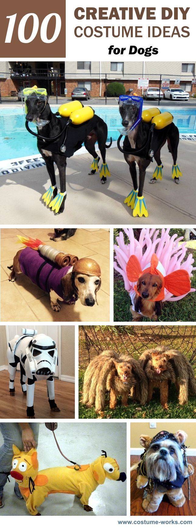 100 Creative DIY Costume Ideas for Dogs - 100 Creative DIY Costume Ideas for Dogs -   16 diy Dog costume ideas