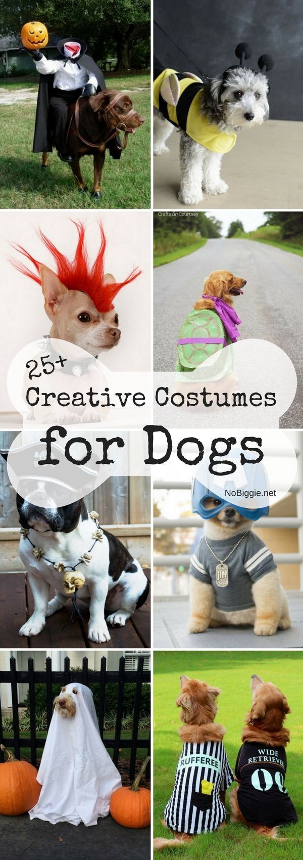 25+ Creative Costumes for Dogs - 25+ Creative Costumes for Dogs -   16 diy Dog costume ideas