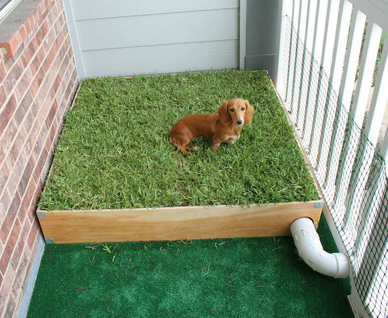 14 DIY Dog Porch Potty & Grass Box Projects | PlayBarkRun - 14 DIY Dog Porch Potty & Grass Box Projects | PlayBarkRun -   16 diy Dog potty ideas