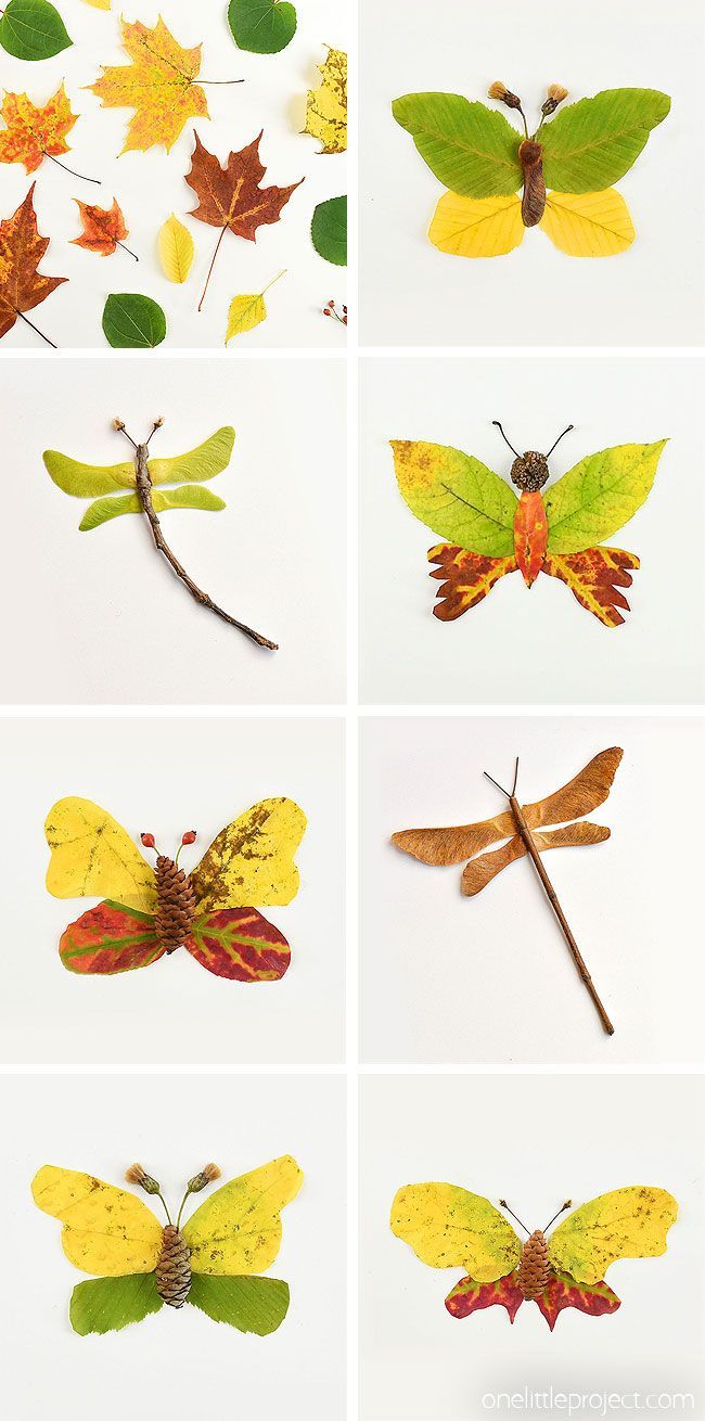 Autumn Leaf Butterflies and Dragonflies | Autumn Nature Craft - Autumn Leaf Butterflies and Dragonflies | Autumn Nature Craft -   16 diy Kids autumn ideas