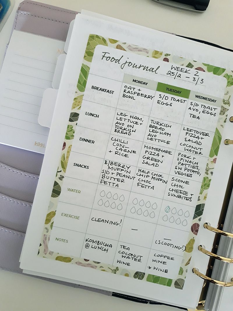 How to Create a Health and Wellness Journal and Establish Healthy Habits - How to Create a Health and Wellness Journal and Establish Healthy Habits -   16 fitness Journal food log ideas
