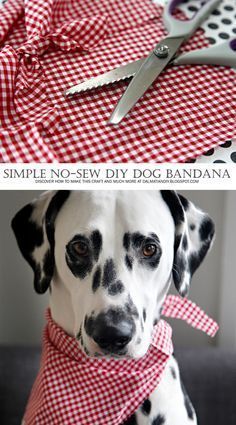Easy No-Sew Pet Bandana - Easy No-Sew Pet Bandana -   18 diy Dog bandana ideas