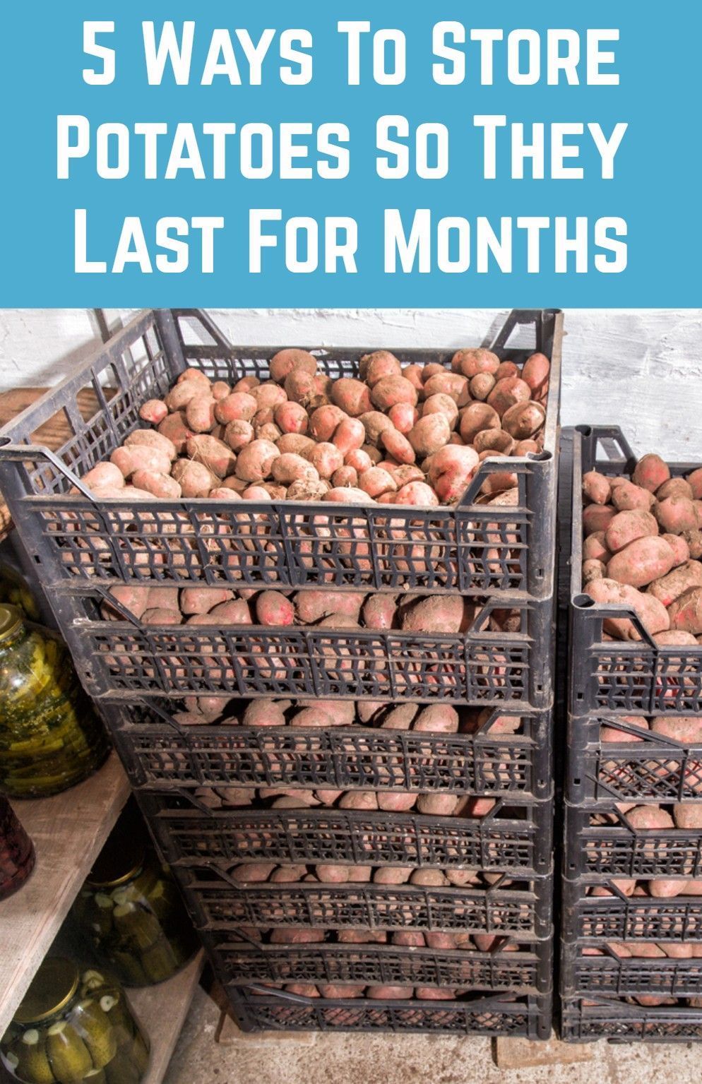 5 Ways To Store Potatoes So They Last For Months - 5 Ways To Store Potatoes So They Last For Months -   19 diy Food potato ideas