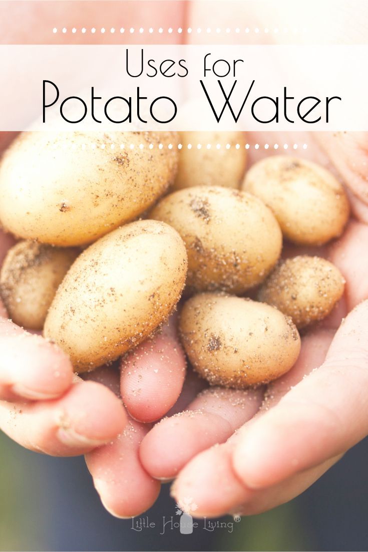 How to Save and Use Potato Water (And Why You Should) - How to Save and Use Potato Water (And Why You Should) -   19 diy Food potato ideas