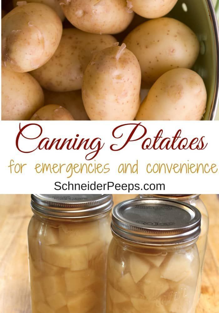 Canning Potatoes for Emergencies and Convenience {plus how to use canned potatoes} - Canning Potatoes for Emergencies and Convenience {plus how to use canned potatoes} -   19 diy Food potato ideas