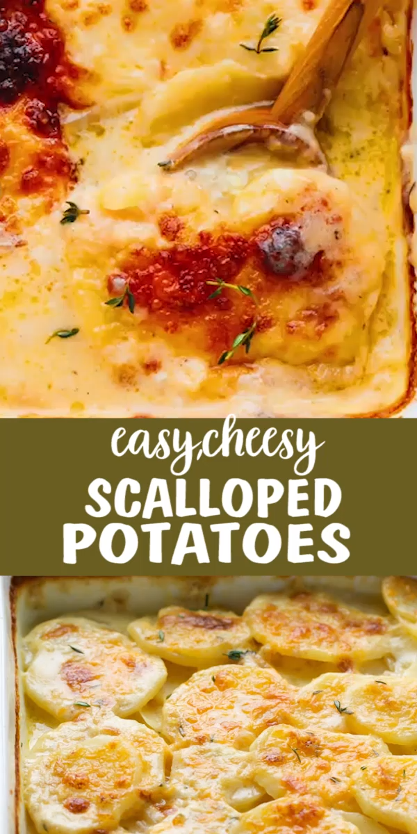 SCALLOPED POTATOES WITH CHEDDAR - SCALLOPED POTATOES WITH CHEDDAR -   19 diy Food potato ideas