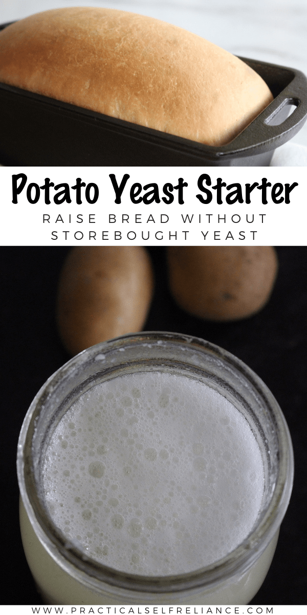 Potato Yeast Starter for Baking Bread - Potato Yeast Starter for Baking Bread -   19 diy Food potato ideas
