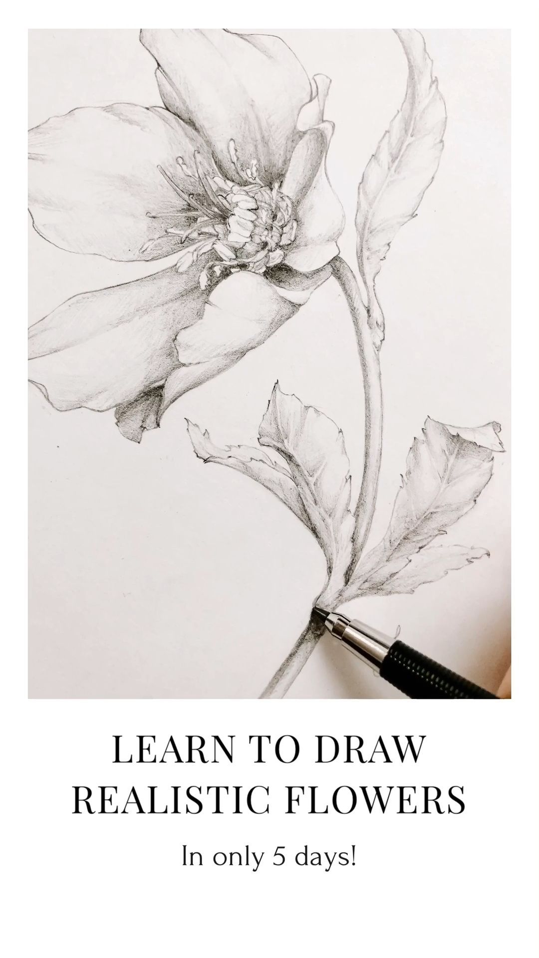 Learn How To Draw Realistic Flowers - Learn How To Draw Realistic Flowers -   21 beauty Drawings videos ideas
