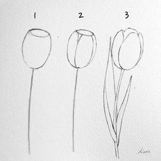 Korean Artist Uploads Step By Step Tutorials On How To Draw Beautiful Flowers - Korean Artist Uploads Step By Step Tutorials On How To Draw Beautiful Flowers -   6 beauty Pictures to draw ideas