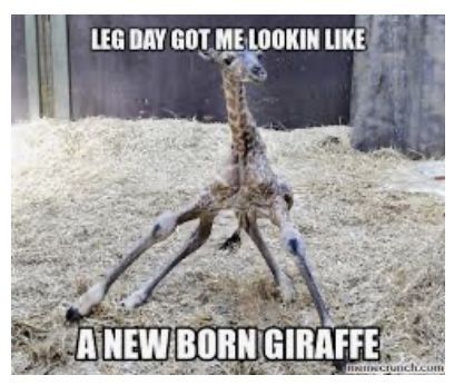 7 fitness Memes leg day ideas