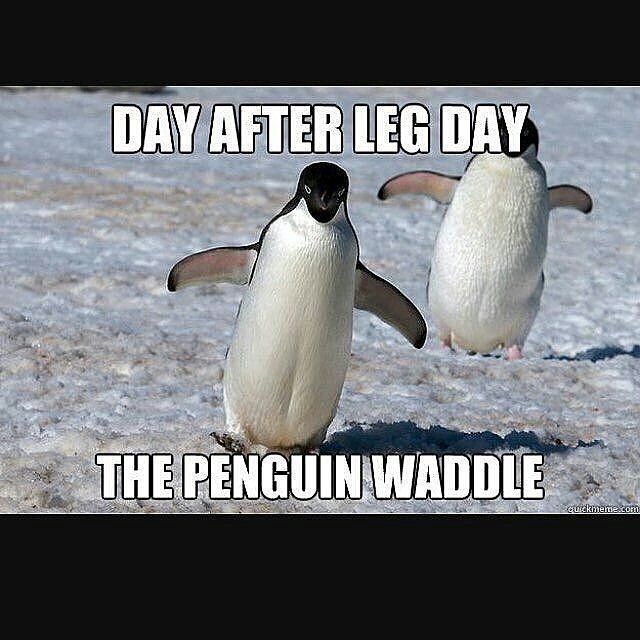 These #LegDay Quotes Will Either Make You Laugh Out Loud or Cry Inside - These #LegDay Quotes Will Either Make You Laugh Out Loud or Cry Inside -   7 fitness Memes leg day ideas