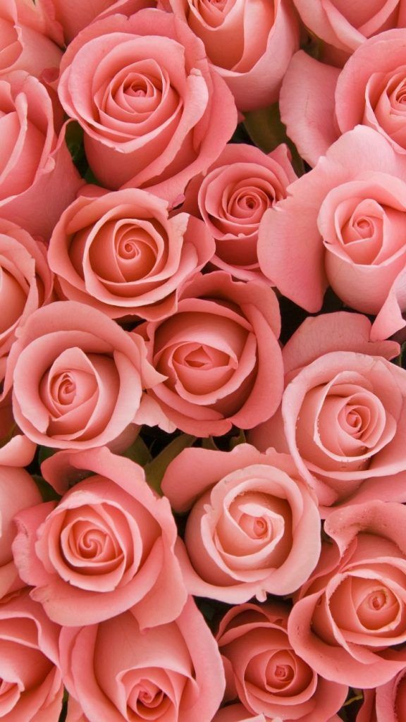 9 beauty Wallpaper roses ideas