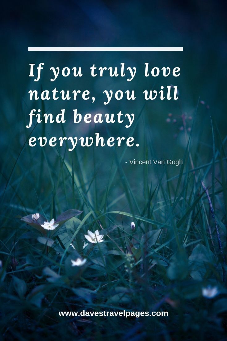 Best Nature Quotes - Inspirational sayings and quotes about nature - Best Nature Quotes - Inspirational sayings and quotes about nature -   9 natural beauty Quotes ideas