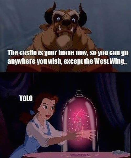 28 of the Funniest  'Beauty and the Beast' Memes. - 28 of the Funniest  'Beauty and the Beast' Memes. -   10 beauty And The Beast animated ideas