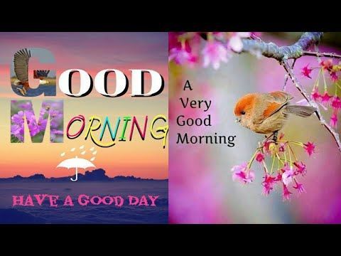 Beautiful Good Morning Images - Beautiful Good Morning Images -   13 beauty Images morning ideas