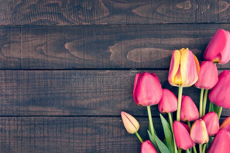 Frame Of Tulips On Dark Rustic Wooden Background. Spring Flowers Stock Photo - Image of flowers, filter: 75955656 - Frame Of Tulips On Dark Rustic Wooden Background. Spring Flowers Stock Photo - Image of flowers, filter: 75955656 -   14 beauty Background spring ideas