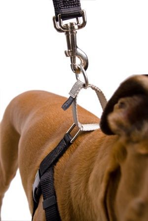 14 diy Dog harness ideas