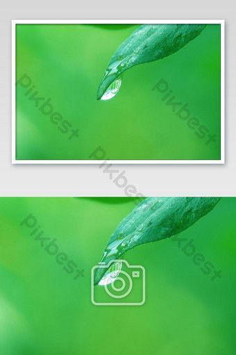 Amazing beautiful drop water dew in the sunlight on leaf macro closeup green background | Photo JPG Free Download - Pikbest - Amazing beautiful drop water dew in the sunlight on leaf macro closeup green background | Photo JPG Free Download - Pikbest -   15 beauty Background green ideas
