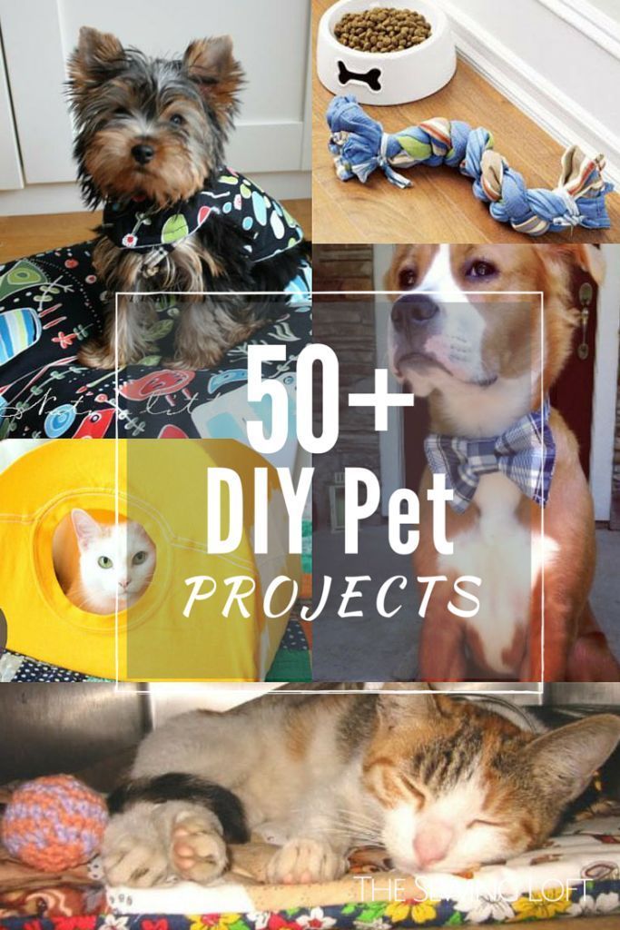 50+ DIY Pet Projects - The Sewing Loft - 50+ DIY Pet Projects - The Sewing Loft -   dog diy Projects