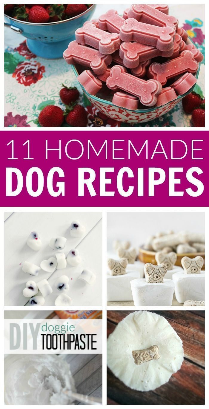 DIY Homemade Dog Recipes - DIY Homemade Dog Recipes -   15 dog diy Projects ideas
