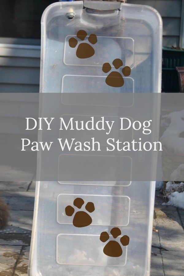DIY Muddy Dog Paw Wash Station - My Brown Newfies - DIY Muddy Dog Paw Wash Station - My Brown Newfies -   15 dog diy Projects ideas