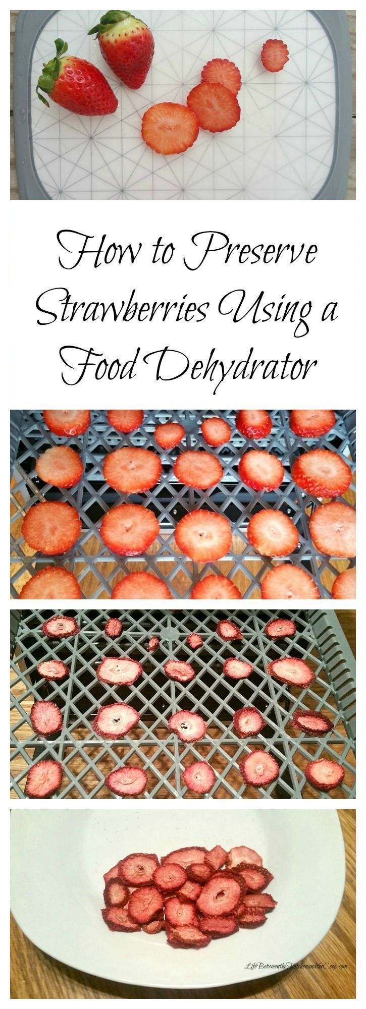 How to Preserve Strawberries Using a Food Dehydrator - How to Preserve Strawberries Using a Food Dehydrator -   17 diy Food step by step ideas