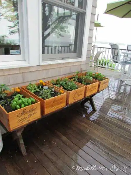 DIY Deck Garden - DIY Deck Garden -   18 diy House garden ideas