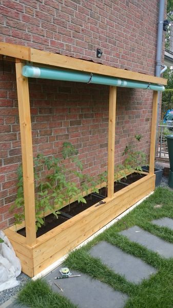 Build DIY tomato house - Elaine - Build DIY tomato house - Elaine -   18 diy House garden ideas