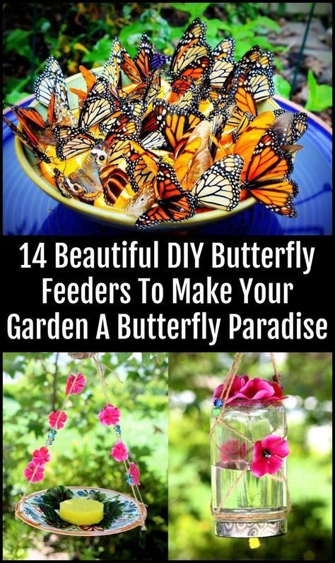 14 Beautiful DIY Butterfly Feeders To Make Your Garden A Butterfly Paradise - 14 Beautiful DIY Butterfly Feeders To Make Your Garden A Butterfly Paradise -   19 diy Garden decorations ideas