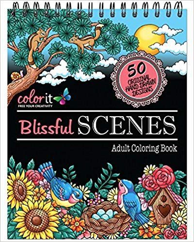 Blissful Scenes Adult Coloring Book - 100 Best Colorings - Blissful Scenes Adult Coloring Book - 100 Best Colorings -   11 beauty Day coloring book ideas