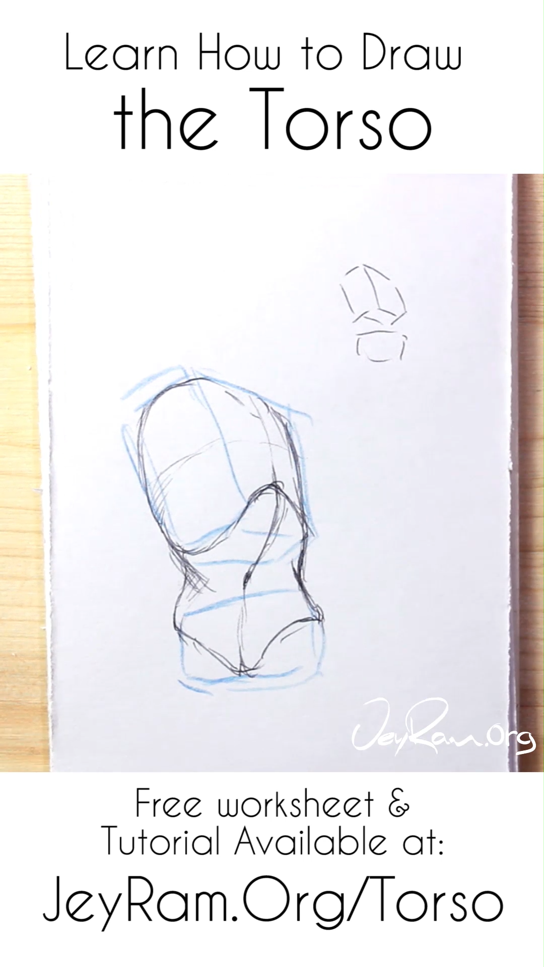 How to Draw the Torso: Free Worksheet & Tutorial - How to Draw the Torso: Free Worksheet & Tutorial -   12 drawing anime hairstyles ideas