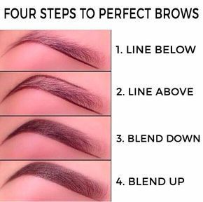 17 Easy Makeup Tips Every Beginner Should Know - 17 Easy Makeup Tips Every Beginner Should Know -   13 beauty Makeup eyebrows ideas