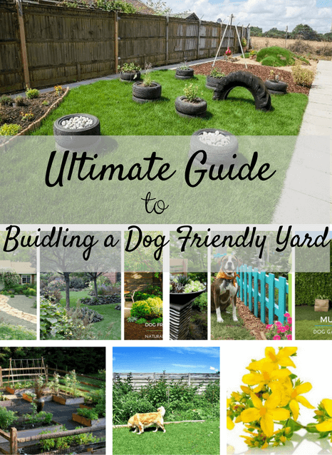 The Ultimate Guide to Building a Dog-Friendly Garden - The Ultimate Guide to Building a Dog-Friendly Garden -   15 diy Outdoor dog ideas