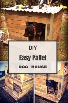 21 Awesome DIY Dog Houses With Free Step-by-Step Plans - 21 Awesome DIY Dog Houses With Free Step-by-Step Plans -   15 diy Outdoor dog ideas