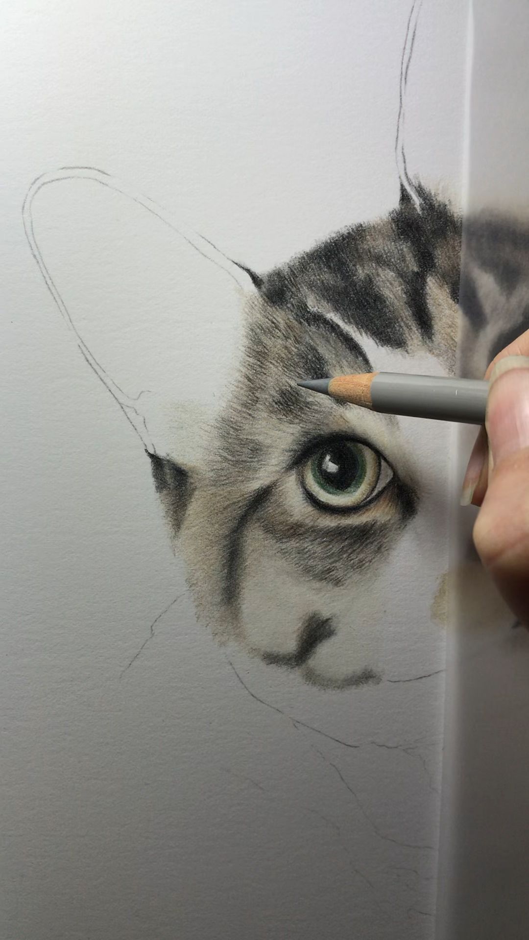 Beautiful Cat Art - Beautiful Cat Art -   16 beauty Drawings artworks ideas